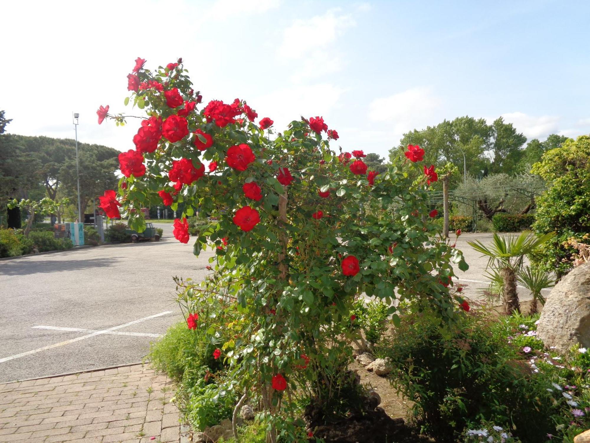 Hotel Rosati Chiusi Exterior photo